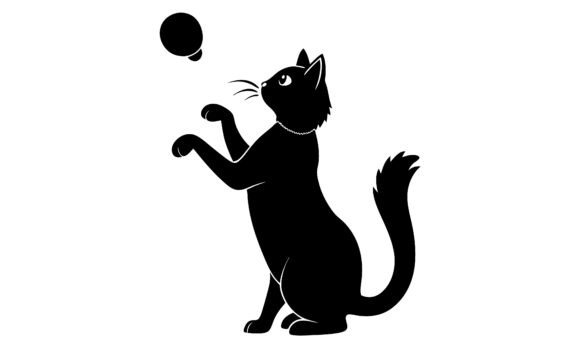 Black Cat Playing with a Ball