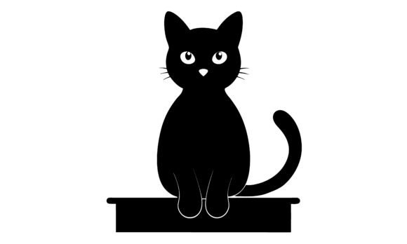 Black Cat Sitting on a Shelf