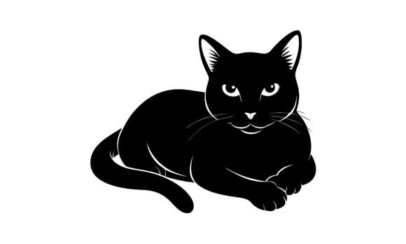Black Cat Vector Illustration