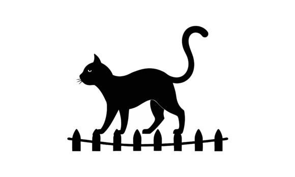 Black Cat Walking on a Fence