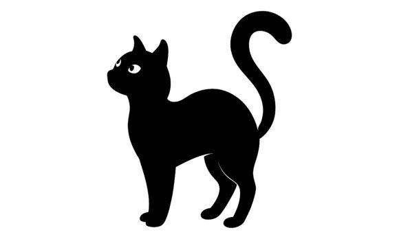 Silhouette Black Cat Looking Upwards