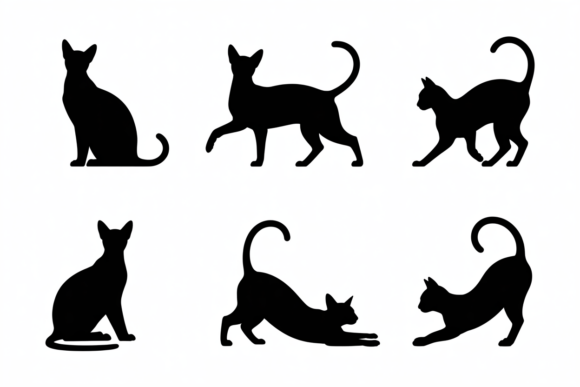 Silhouette Collection of Black Cat