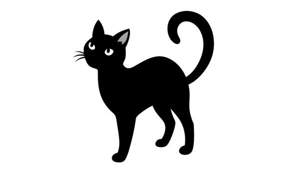 Simple Black Cat Looking Upwards